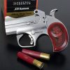 Bond Arms Texas Defender