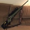 Buy Ruger American Predator Online