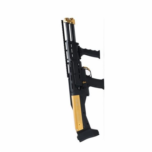DP-12 Double Barrel Pump Shotgun